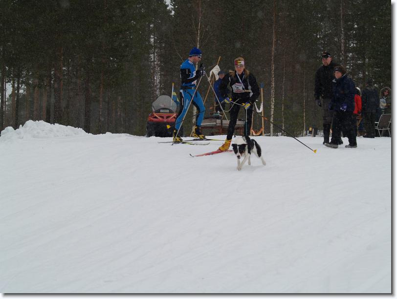Nästa bild